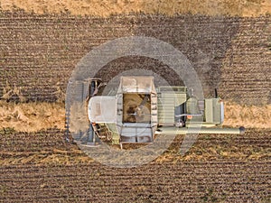 Combines mow rapeseed in the field.Agro-industrial complex.The combine harvester cuts rapeseed .The machine removes rapeseed.