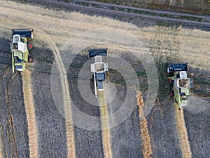 Combines mow rapeseed in the field.Agro-industrial complex.The combine harvester cuts rapeseed .The machine removes rapeseed.