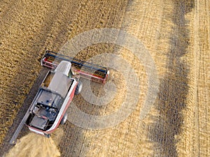 Combines mow wheat in the field.Agro-industry.Combine Harvester Cutting on wheat field.Machine harvest wheat.Harvesting of grain