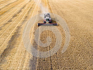 Combines mow wheat in the field.Agro-industry.Combine Harvester Cutting on wheat field.Machine harvest wheat.Harvesting of grain