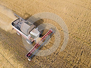 Combines mow wheat in the field.Agro-industry.Combine Harvester Cutting on wheat field.Machine harvest wheat.Harvesting of grain