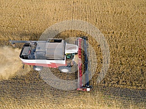 Combines mow wheat in the field.Agro-industry.Combine Harvester Cutting on wheat field.Machine harvest wheat.Harvesting of grain