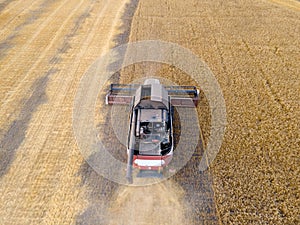 Combines mow wheat in the field.Agro-industry.Combine Harvester Cutting on wheat field.Machine harvest wheat.Harvesting of grain