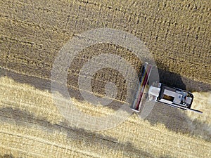 Combines mow wheat in the field.Agro-industry.Combine Harvester Cutting on wheat field.Machine harvest wheat.Harvesting of grain