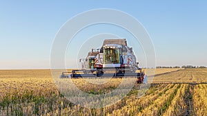 Combines and other equipment in the fields during the wheat harvest