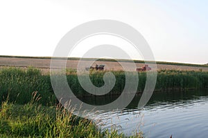 Combines - ships of fields.