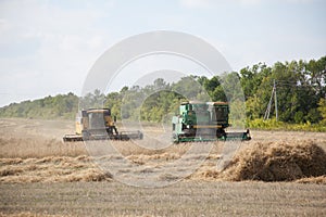 The combines to harvest on the field.