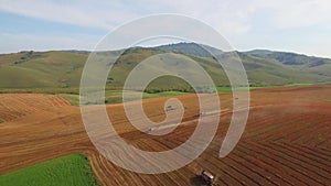 Combines work in the field. From the combine grain is poured. Agricultural work.  The field of buckwheat blossoms in the sun.