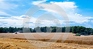 Combines at work in field during wheat harvesting