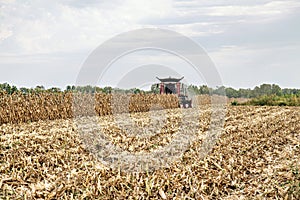 combining field corn