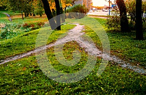 Combining paths. In the Park by the highway, the two little narrow footpath merged into one. Conceptual autumn landscape