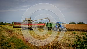 Combne harvester cutting Oilseed rapei