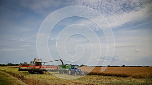 Combne harvester cutting Oilseed rapei