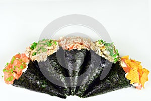 Combo of temakis in white background