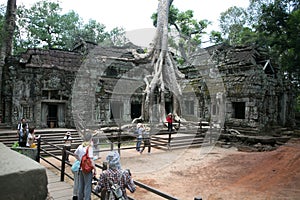 Combodia temples jungles