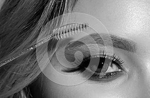 Combs eyebrows with a brush in a beauty salon. Woman with long eyelashes and thick eyebrows. Macro close up of brows.