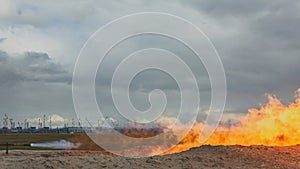 Combustion of formation fluid during well development