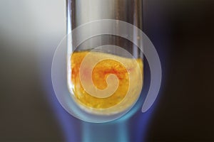 Combustion reaction with sucrose