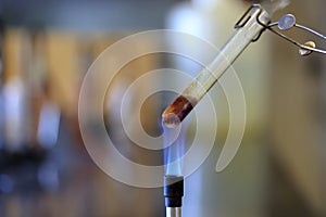 Combustion reaction with sucrose