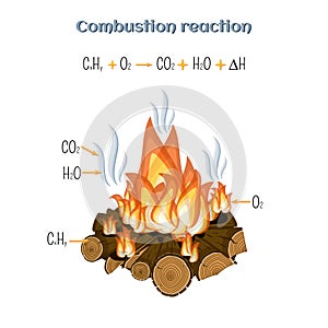 Combustion reaction - wood burning at fire camp. photo