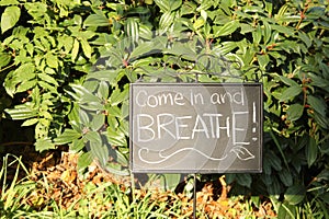 Come in and Breathe Sign photo