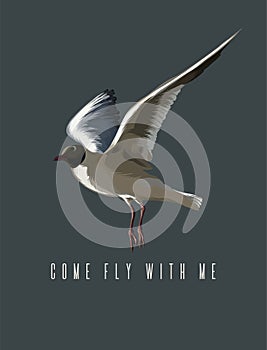 Come fly with me. Vector hand drawn illustration of seagull isolated