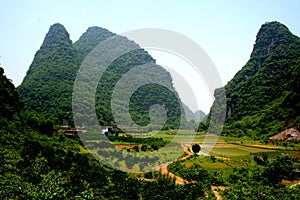 Comely Guilin hills and paddy photo