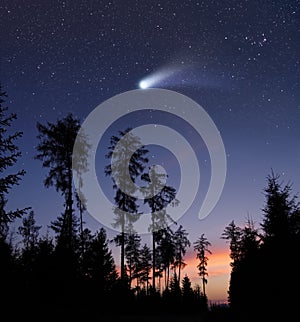 A comet in the evening sky photo