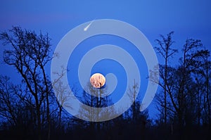 Comet Panstarr Star in Blue Sky, Full Moon