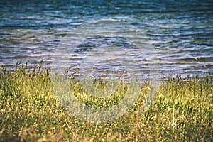 comfortable beach of the baltic sea with rocks and green vegetat