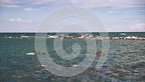 comfortable beach of the baltic sea with rocks and green vegetat