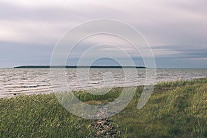 comfortable beach of the baltic sea with rocks and green vegetat