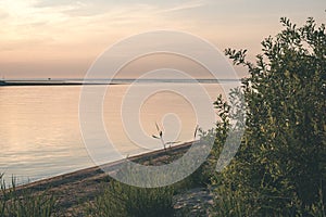 comfortable beach of the baltic sea with rocks and green vegetat