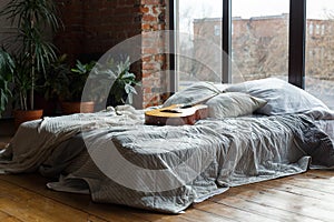 Comfortable bedroom interior with wide bed near windows, loft style. Modern interior with green plants. Guitar on a bed
