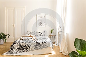 Comfortable big bed with white and black flower design bedding and a breakfast tray on in a wooden floor bright bedroom interior.