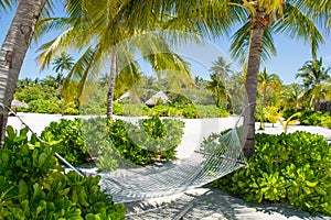 Comfortable hammock between palm trees at the tropical island