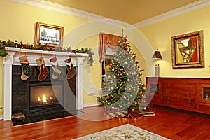 Comfortable Home with Christmas Tree