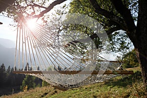 Comfortable net hammock outdoors on sunny day