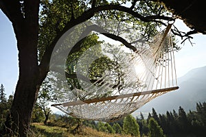 Comfortable net hammock outdoors on sunny day