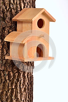 Comfortable starling-house on a tree trunk