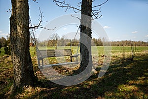 Comfortable swing bench between two trees