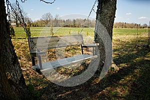 Comfortable swing bench between two trees