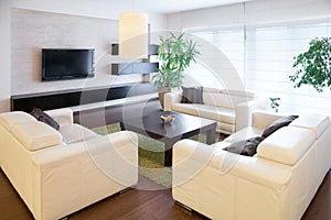 Comfortable white sofas photo