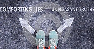 Comforting lies and unpleasant truths as different choices in life - pictured as words Comforting lies, unpleasant truths on a photo