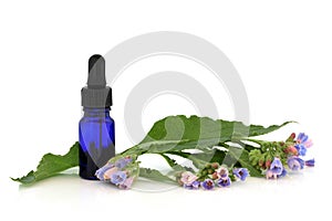 Comfrey Herb Flowers