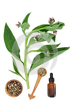 Comfrey Herb Plant and Root with Essential Oil