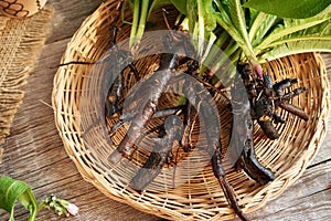 Comfrey root in a basket on a table