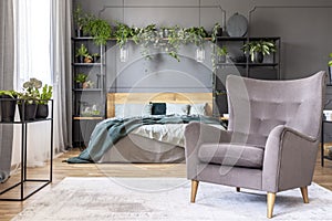 Comfy armchair in front of a double bed in a grey bedroom interior decorated with plants