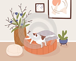 Comfy living room interior with sleeping cat, potted houseplants and home decorations. Cute pet lying on ottoman at