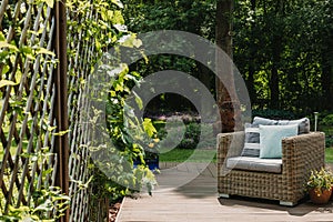 Comfy wicker armchair with pillows on wooden terrace of trendy suburban home